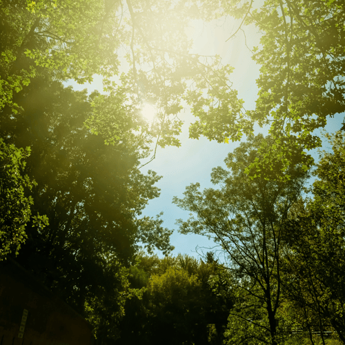 Making Earth Day Every Day
