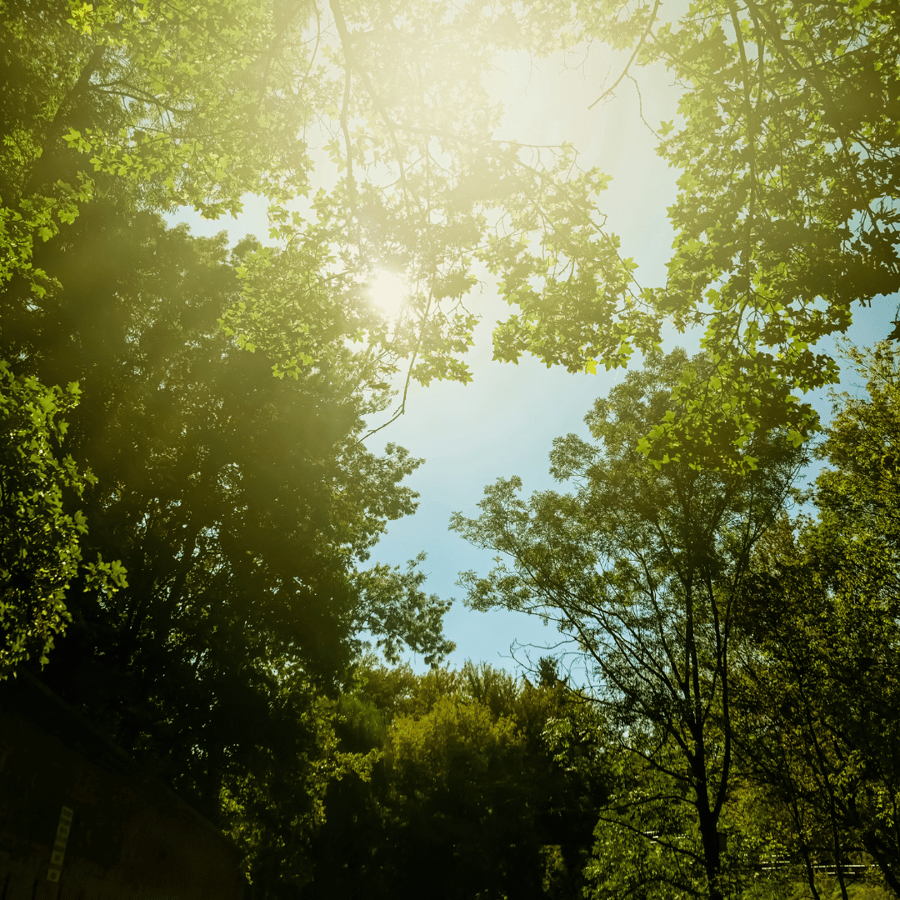 Making Earth Day Every Day